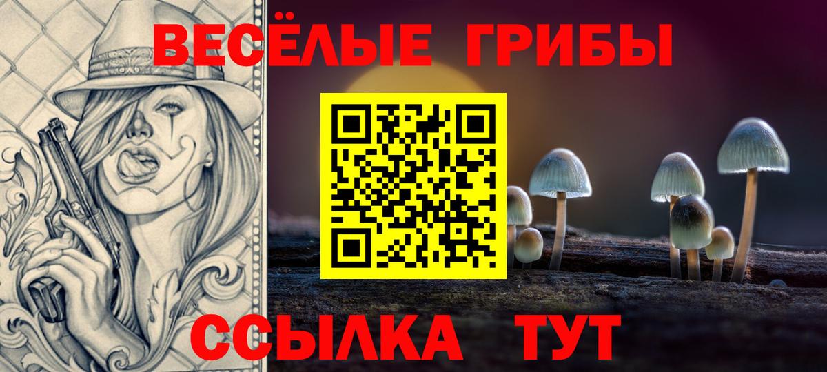 Галлюциногенные грибы MAGIC MUSHROOMS  что такое   Вход с VPN  Искитим  Галлюциногенные грибы MAGIC MUSHROOMS 